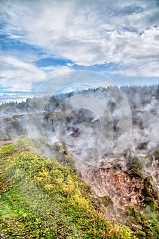 Craters of the Moon geothermal valley, Taupo - New Zealand