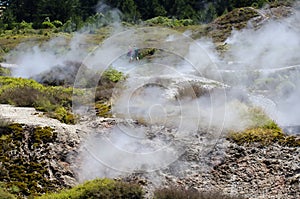 Craters of the Moon, Lake Taupo, New Zealand