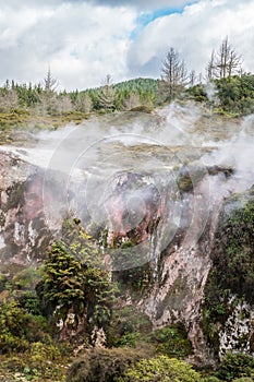 Craters of the Moon Landscape