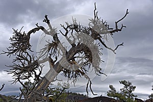 Craters of the Moon National Monument and Preserve, Arco, Idaho