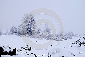 Craters of the Moon in Winter photo