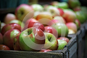 Crates of Apples Yum