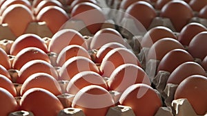 Crates of fresh eggs at a poultry farm