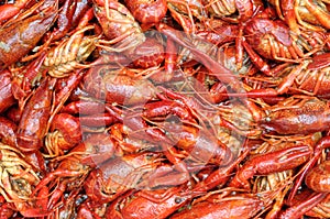 Craw fish