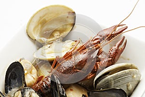 Crawdad,clams and Mussels