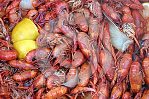 Crawfish Boil