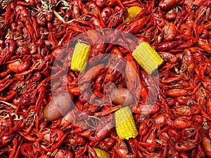 Crawfish Boil
