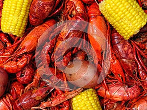 Crawfish Boil