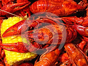 Crawfish Boil photo