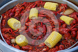 Crawfish boil