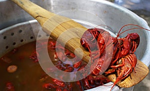 Crawfish Boil photo