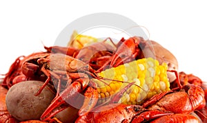 A Crawfish Boil with Corn on the Cob and Potatoes photo