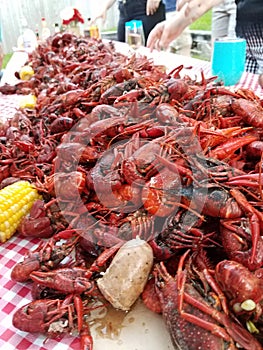 Crawfish boil festivities!! photo