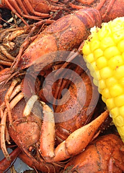 Crawfish and corn
