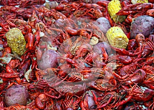 Crawfish Corn Potatoes