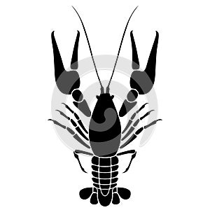 Crawfish vector eps Hand drawn, Vector, Eps, Logo, Icon, crafteroks, silhouette Illustration for different uses