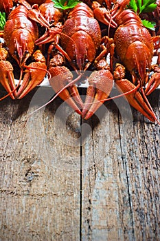 Crawfish on wooden background