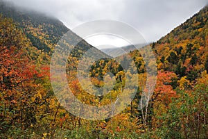 Crawford Notch State Park photo