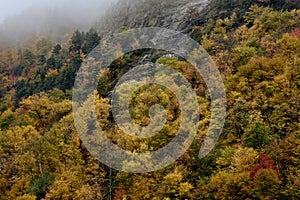 Crawford Notch State Park