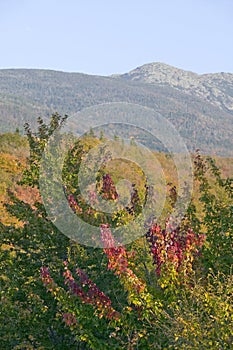 Crawford Notch State Park in the White Mountains, New Hampshire photo