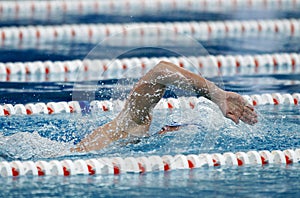 Crawl swimmer photo