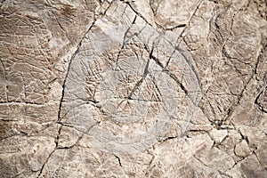 Crawled grey stone surface texture