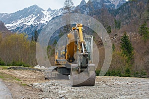 Compact Crawler Excavator photo