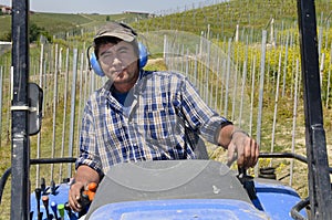 Crawler tractor driver works among the rows of vineyards
