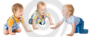 Crawling Babies Boys, Infant Kids Group Crawl on all fours, Toddlers Children on White