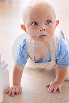 Crawling with curiosity. A little baby boy crawling around on the floor at home.