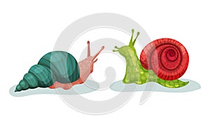 Crawling Snails as Shelled Gastropod with Coiled Shell Vector Set