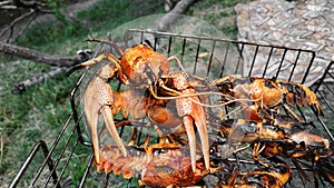 Crayfish BBQ grill steaming