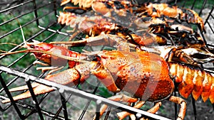 Crayfish BBQ grill steaming