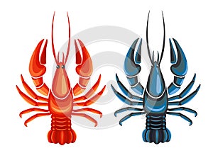 Crayfish blue and red isolated on white background.