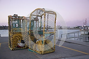 Crayfish cage net