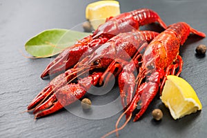 Crayfish, clawfish, crawfish closeup. Red boiled crayfishes with herbs and lemon