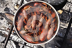 Crayfish cooking photo