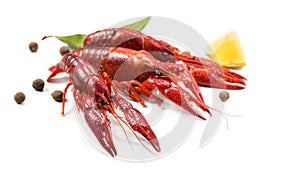 Crayfish, Crawfish closeup. Red boiled crayfish with herbs and lemon isolated on white background. Crawfishes