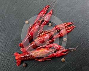 Crayfish, Crawfish closeup. Red boiled crayfish with herbs on stone slate dark background. Crawfishes