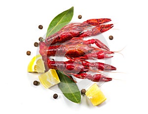 Crayfish, Crawfish closeup. Red boiled crayfishes with herbs and lemon isolated on white background