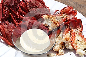 Crayfish and dip