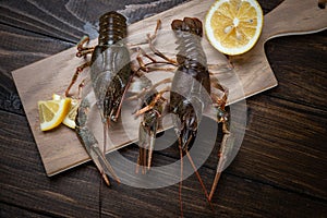 Crayfish. Fresh crayfish on a table in a rustic style, close-up. Lobster closeup