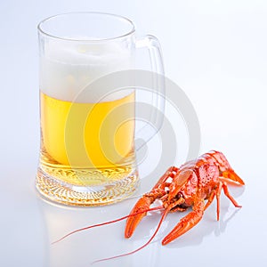 Crayfish with a glass of fresh foaming beer, close-up