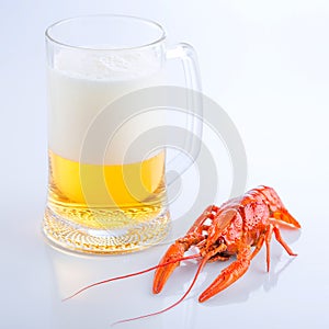 Crayfish with a glass of fresh foaming beer, close-up