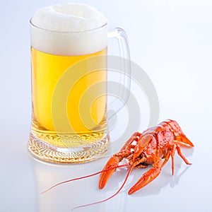 Crayfish with a glass of fresh foaming beer, close-up