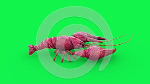 Crayfish Green Screen Idle Side 3D Rendering Animation 4K