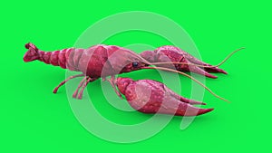 Crayfish Green Screen Walkcycle Loop 3D Rendering Animation 4K