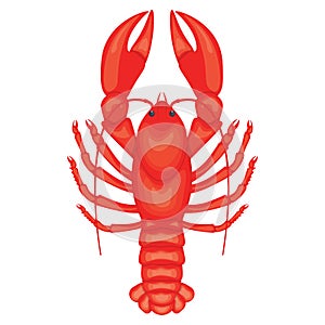 Crayfish illustration isolated on white background