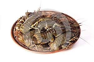 Crayfish live on a dish isolated on a white background. Fresh seafood snack