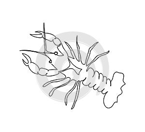 Crayfish, lobster continuous line drawing. One line art of arthropods, seafood, marine animals.